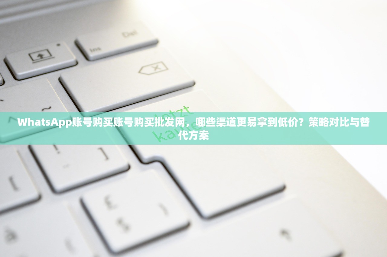 WhatsApp账号购买账号购买批发网,哪些渠道更易拿到低价?策略对比与替代方案