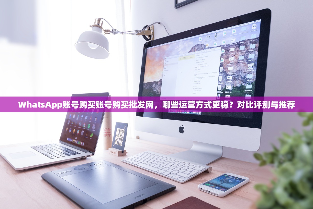 WhatsApp账号购买账号购买批发网,哪些运营方式更稳?对比评测与推荐