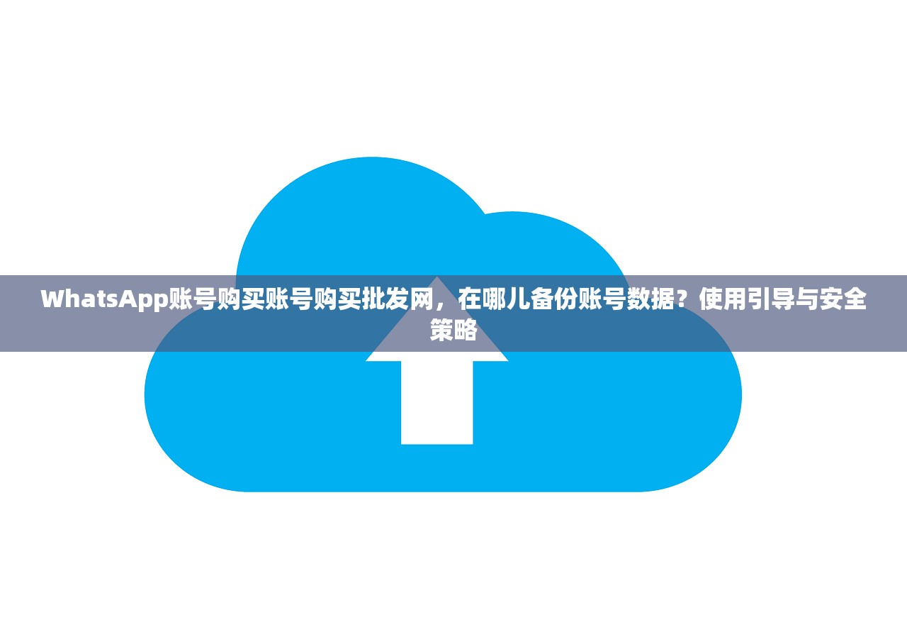 WhatsApp账号购买账号购买批发网,在哪儿备份账号数据?使用引导与安全策略