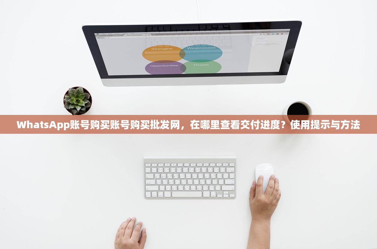 WhatsApp账号购买账号购买批发网，在哪里查看交付进度？使用提示与方法