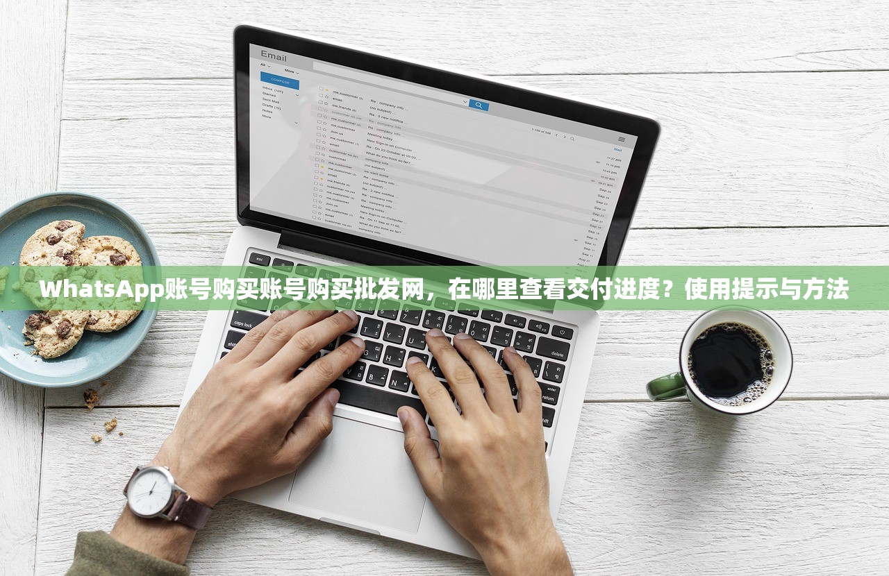 WhatsApp账号购买账号购买批发网,在哪里查看交付进度?使用提示与方法