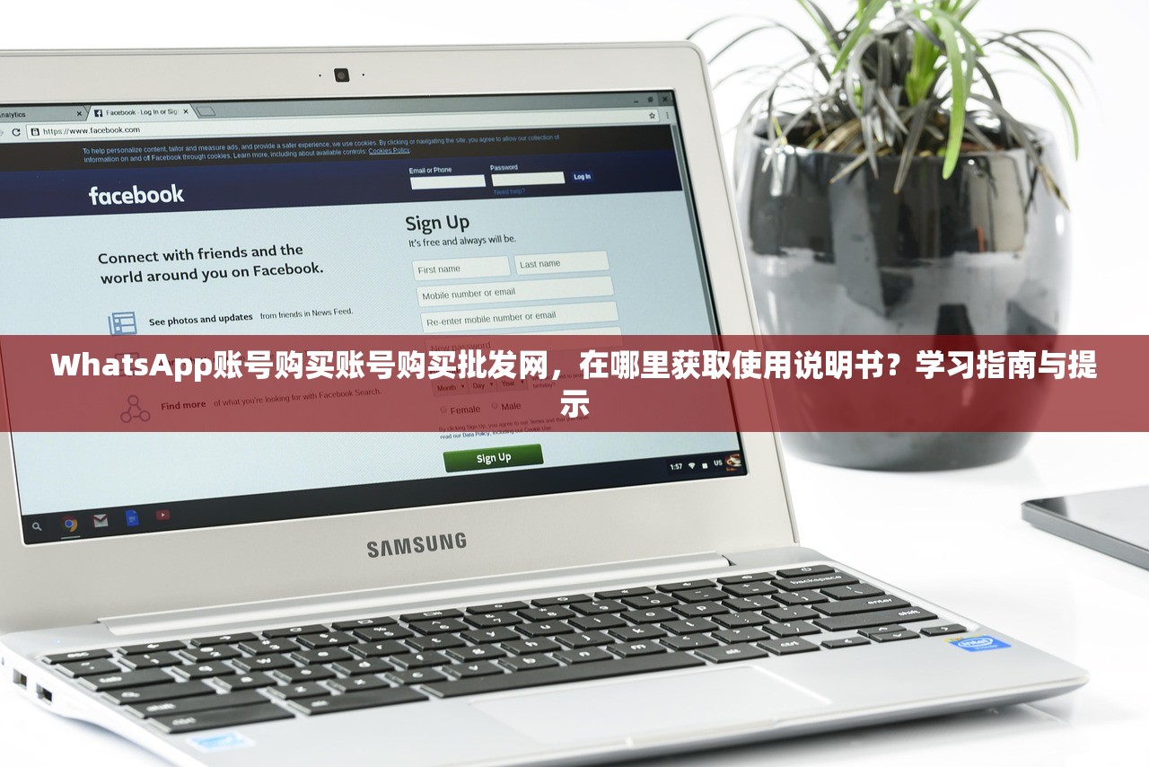 WhatsApp账号购买账号购买批发网，在哪里获取使用说明书？学习指南与提示