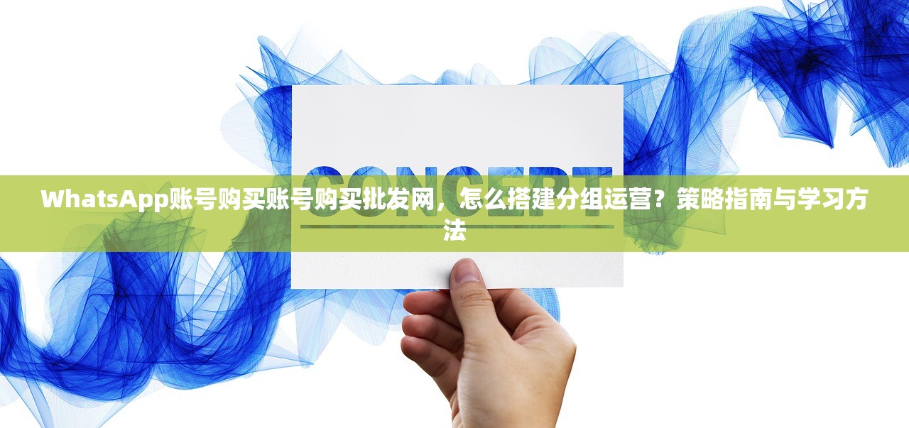 WhatsApp账号购买账号购买批发网，怎么搭建分组运营？策略指南与学习方法