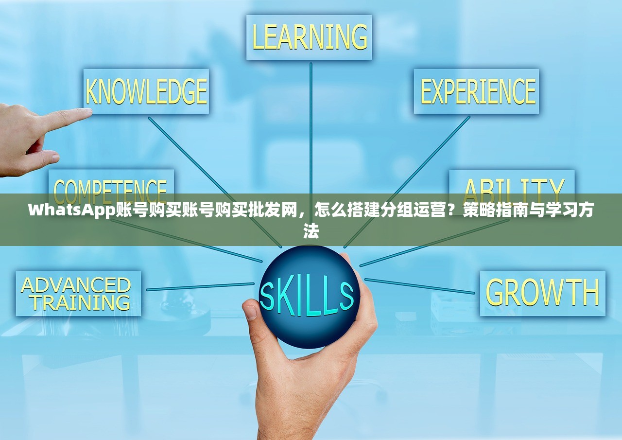 WhatsApp账号购买账号购买批发网,怎么搭建分组运营?策略指南与学习方法