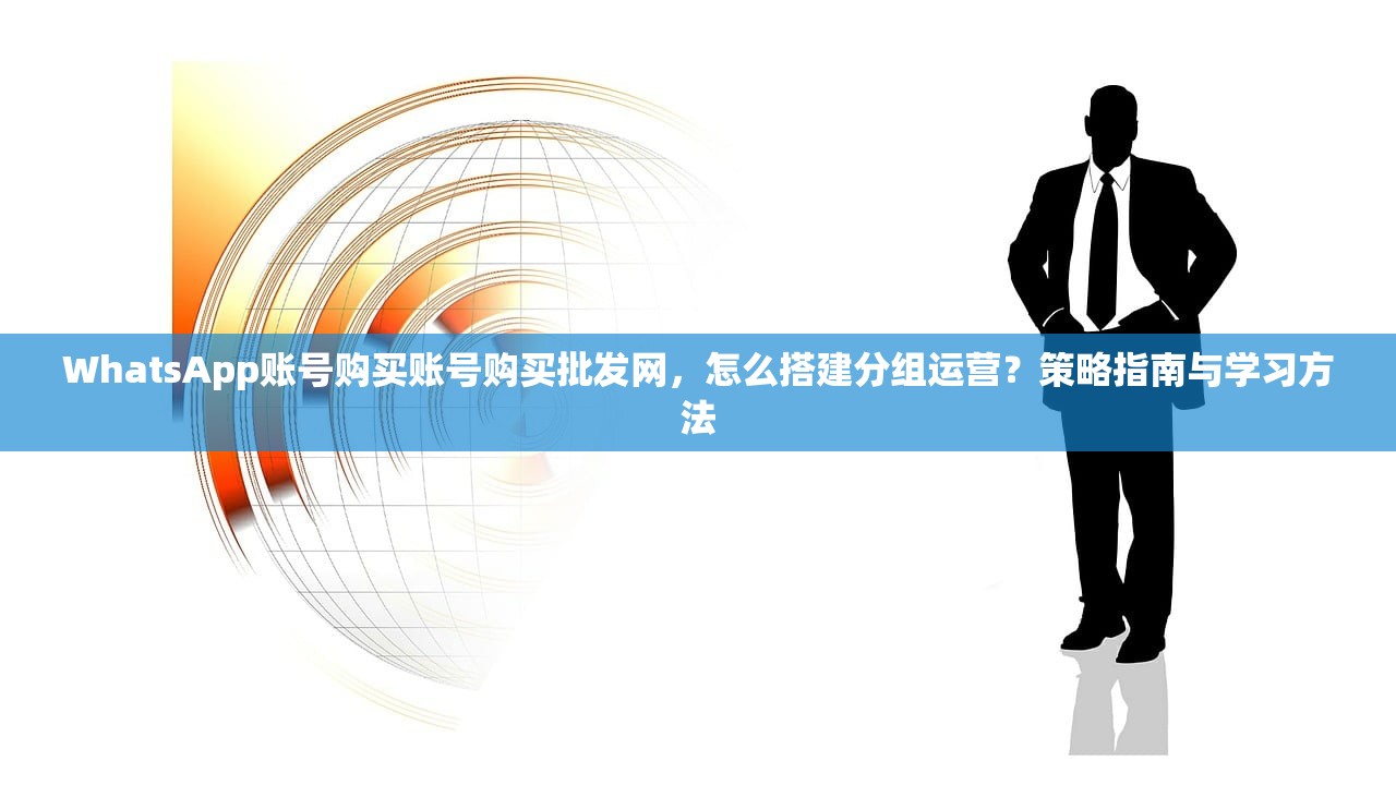 WhatsApp账号购买账号购买批发网,怎么搭建分组运营?策略指南与学习方法