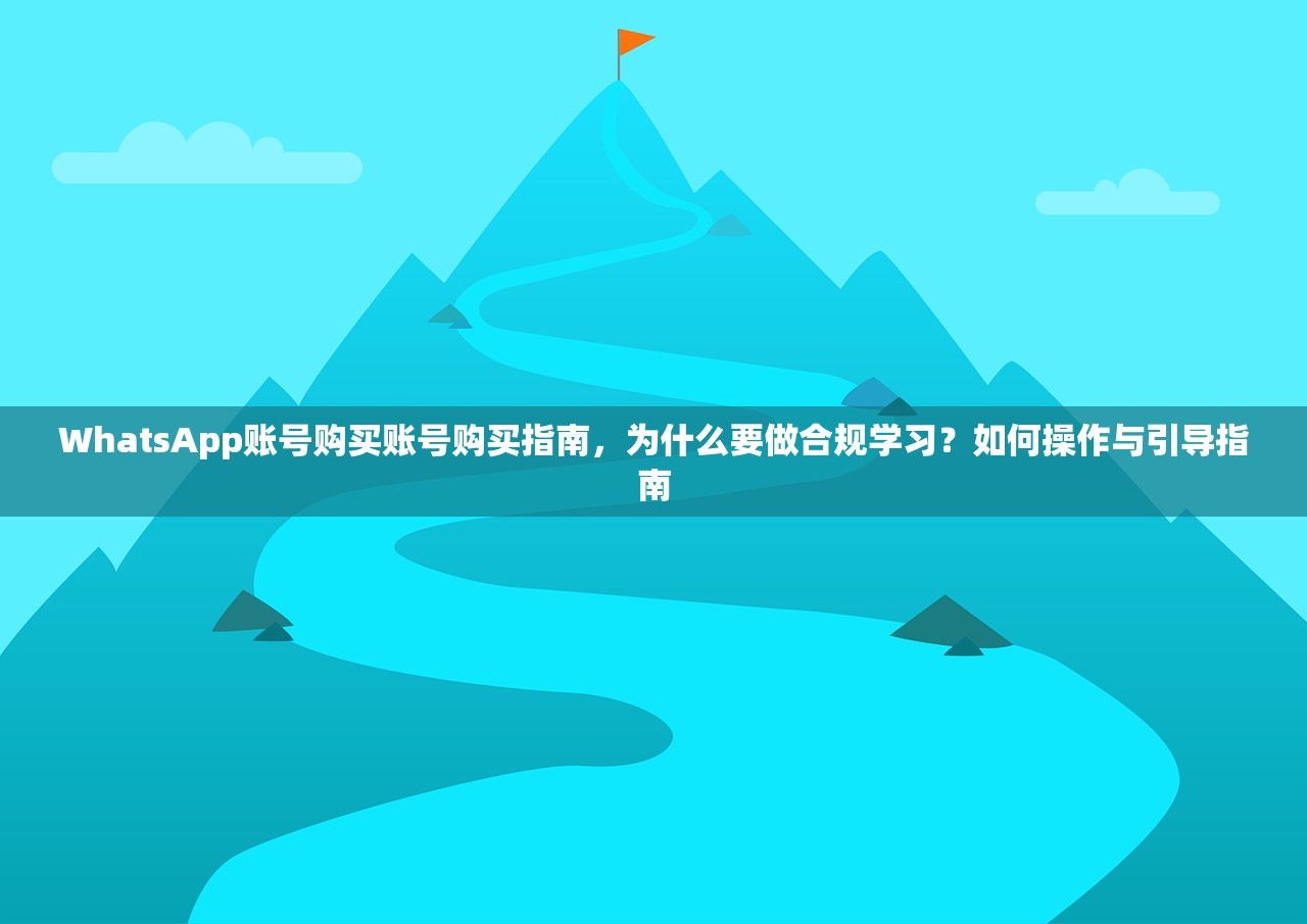 WhatsApp账号购买账号购买指南,为什么要做合规学习?如何操作与引导指南