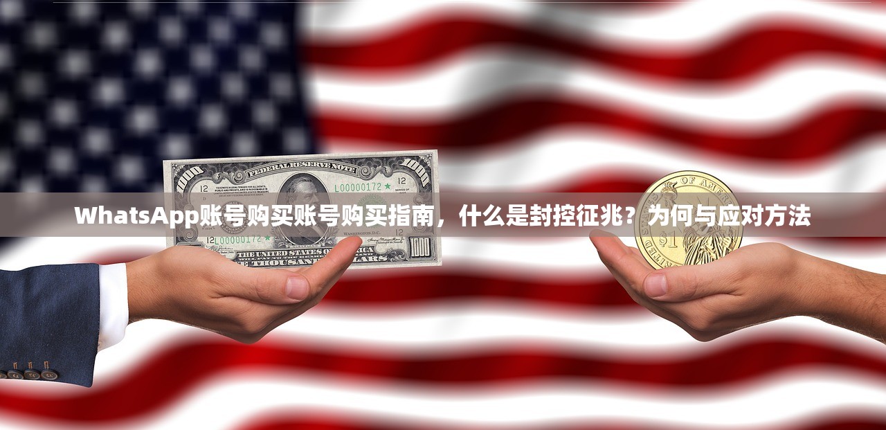 WhatsApp账号购买账号购买指南,什么是封控征兆?为何与应对方法