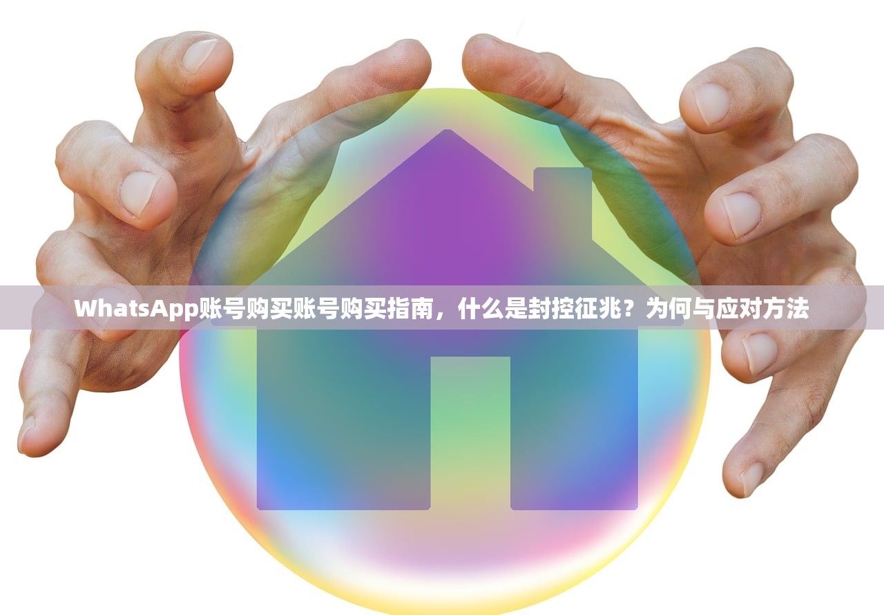 WhatsApp账号购买账号购买指南,什么是封控征兆?为何与应对方法