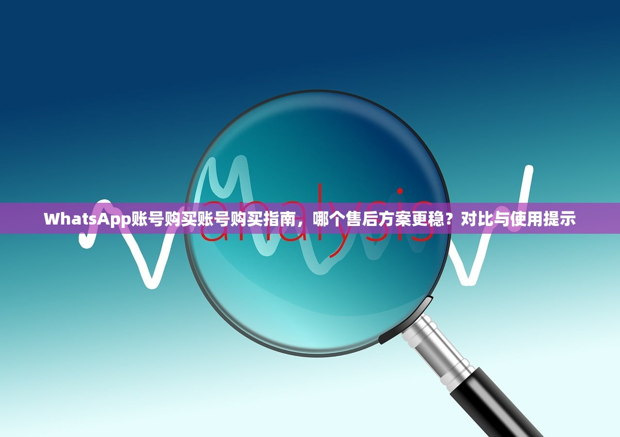 WhatsApp账号购买账号购买指南,哪个售后方案更稳?对比与使用提示
