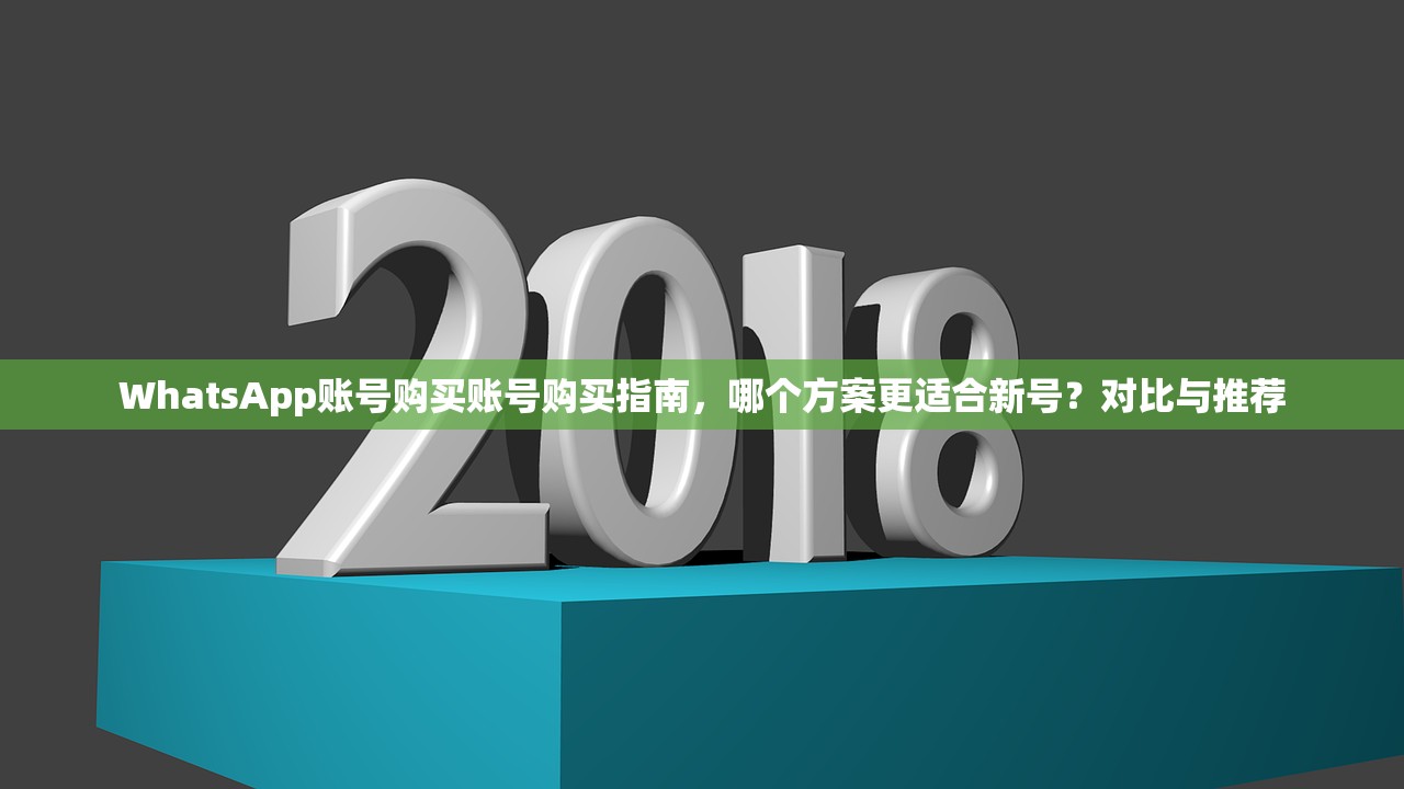 WhatsApp账号购买账号购买指南，哪个方案更适合新号？对比与推荐