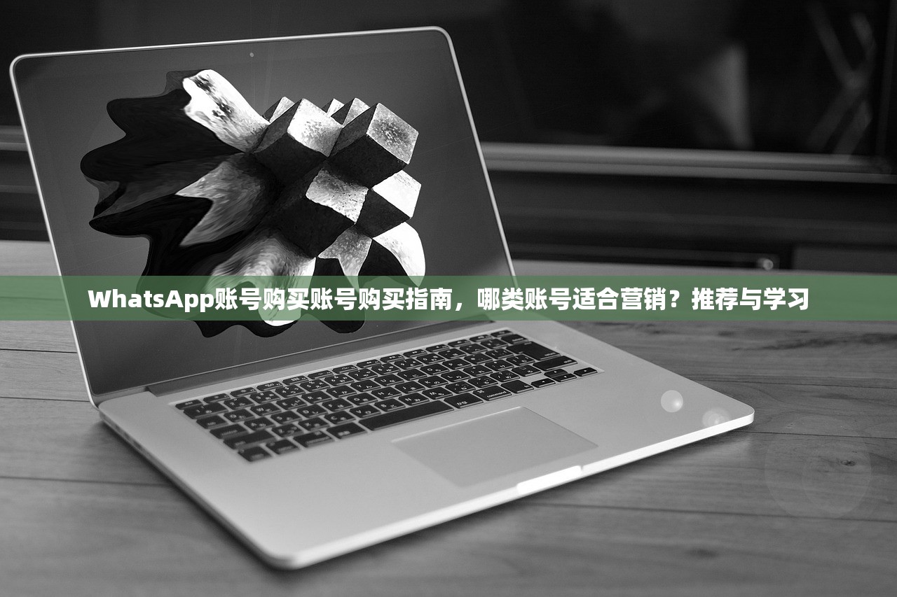 WhatsApp账号购买账号购买指南,哪类账号适合营销?推荐与学习