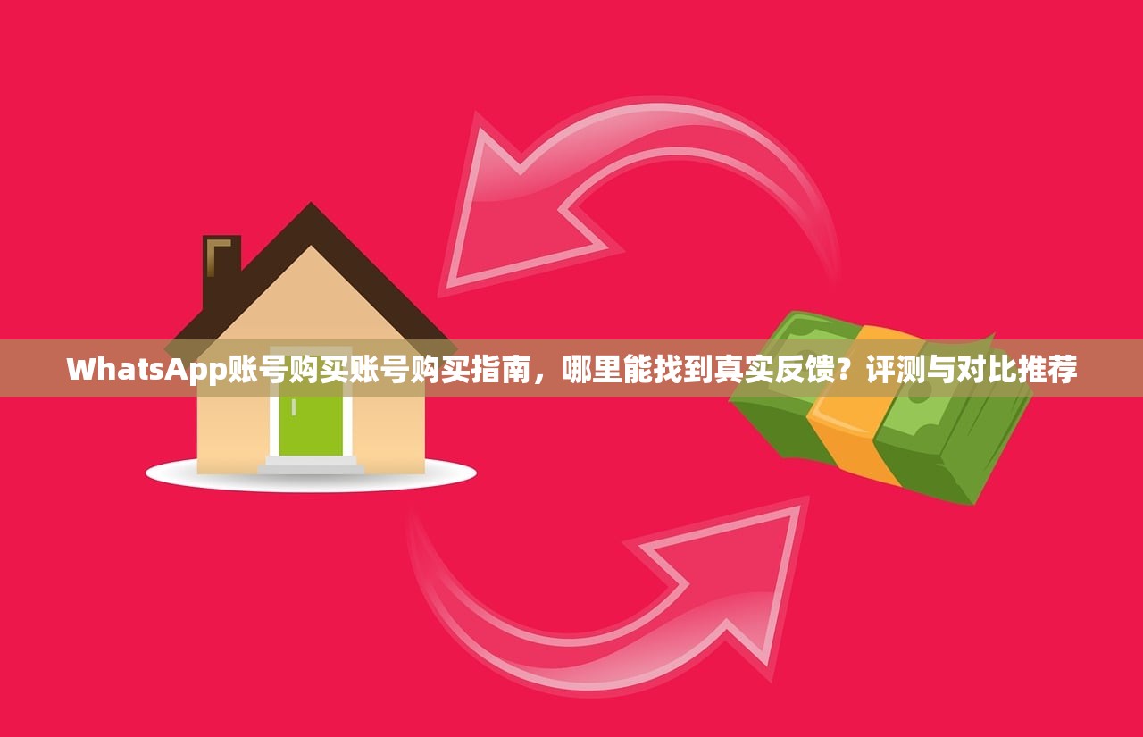 WhatsApp账号购买账号购买指南,哪里能找到真实反馈?评测与对比推荐