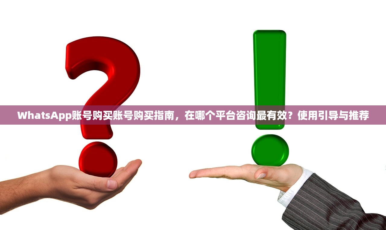 WhatsApp账号购买账号购买指南，在哪个平台咨询最有效？使用引导与推荐