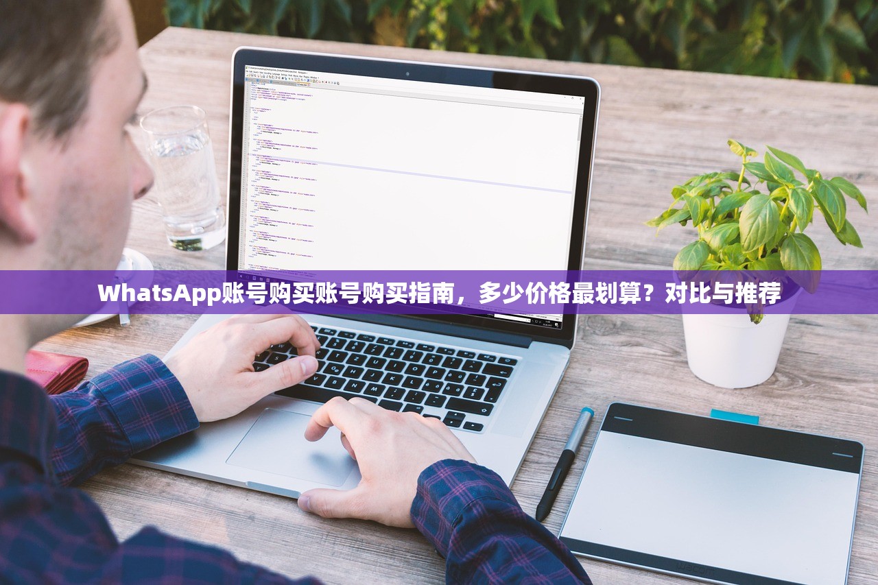 WhatsApp账号购买账号购买指南,多少价格最划算?对比与推荐