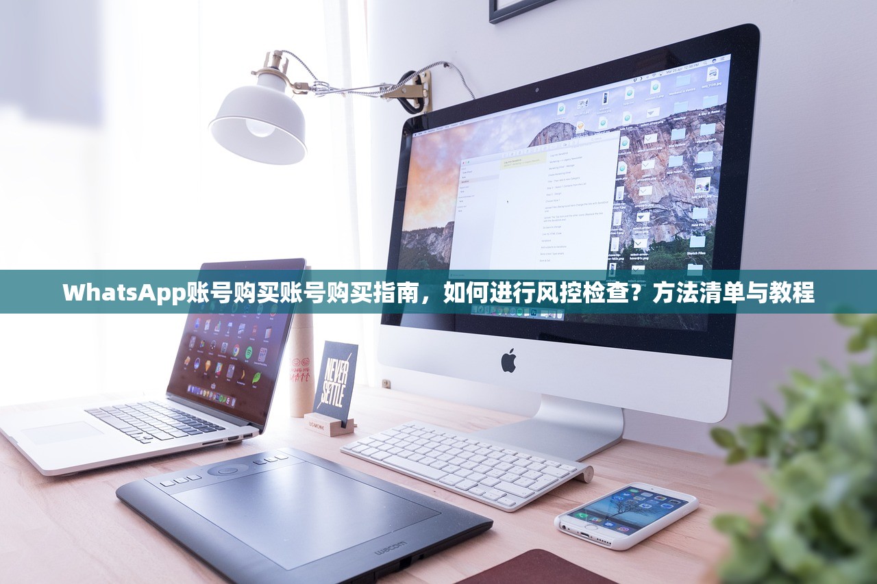 WhatsApp账号购买账号购买指南，如何进行风控检查？方法清单与教程