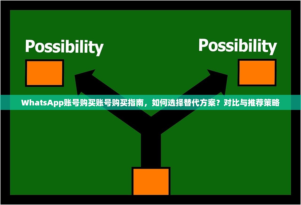 WhatsApp账号购买账号购买指南,如何选择替代方案?对比与推荐策略