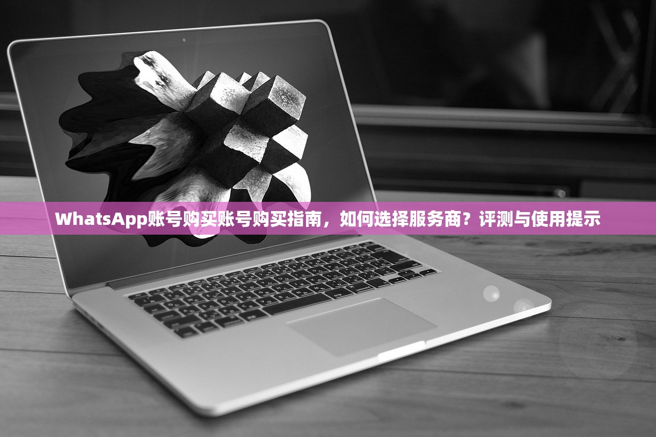 WhatsApp账号购买账号购买指南,如何选择服务商?评测与使用提示