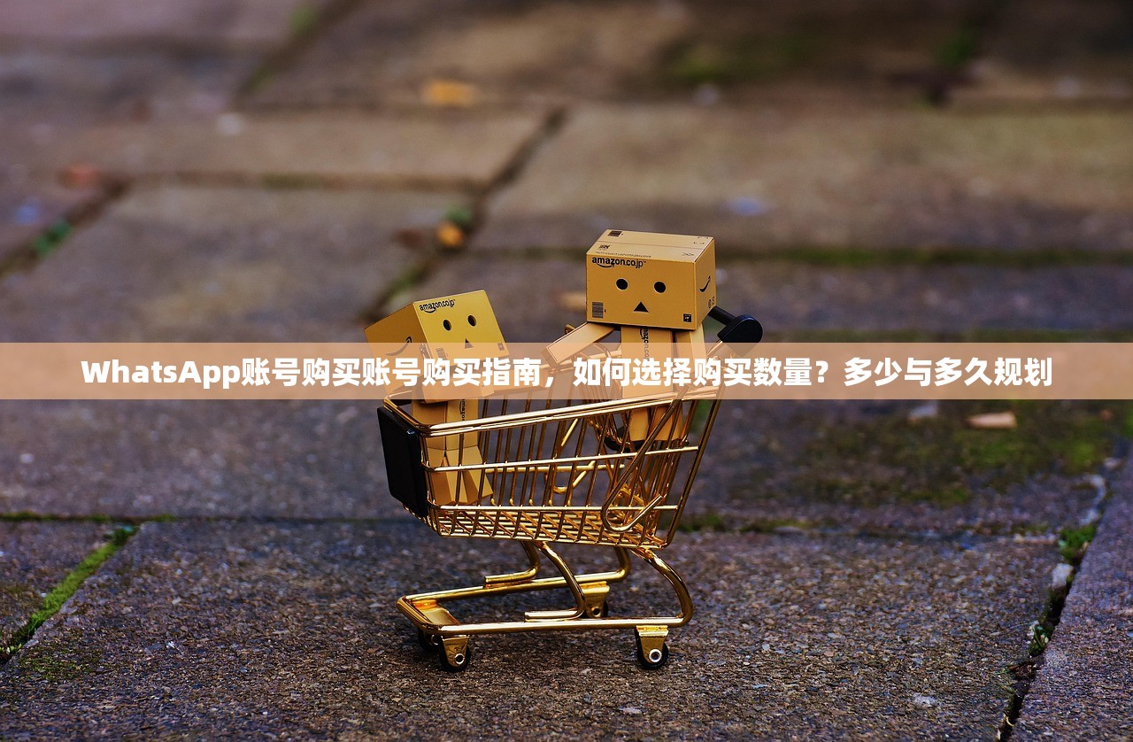 WhatsApp账号购买账号购买指南，如何选择购买数量？多少与多久规划
