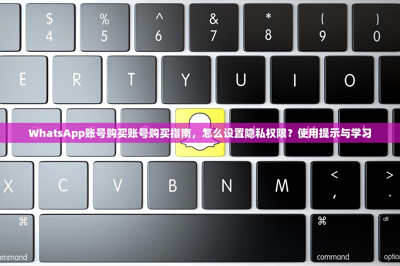 WhatsApp账号购买账号购买指南，怎么设置隐私权限？使用提示与学习