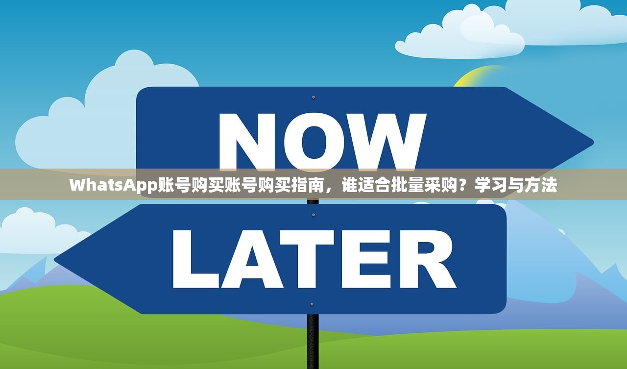 WhatsApp账号购买账号购买指南，谁适合批量采购？学习与方法