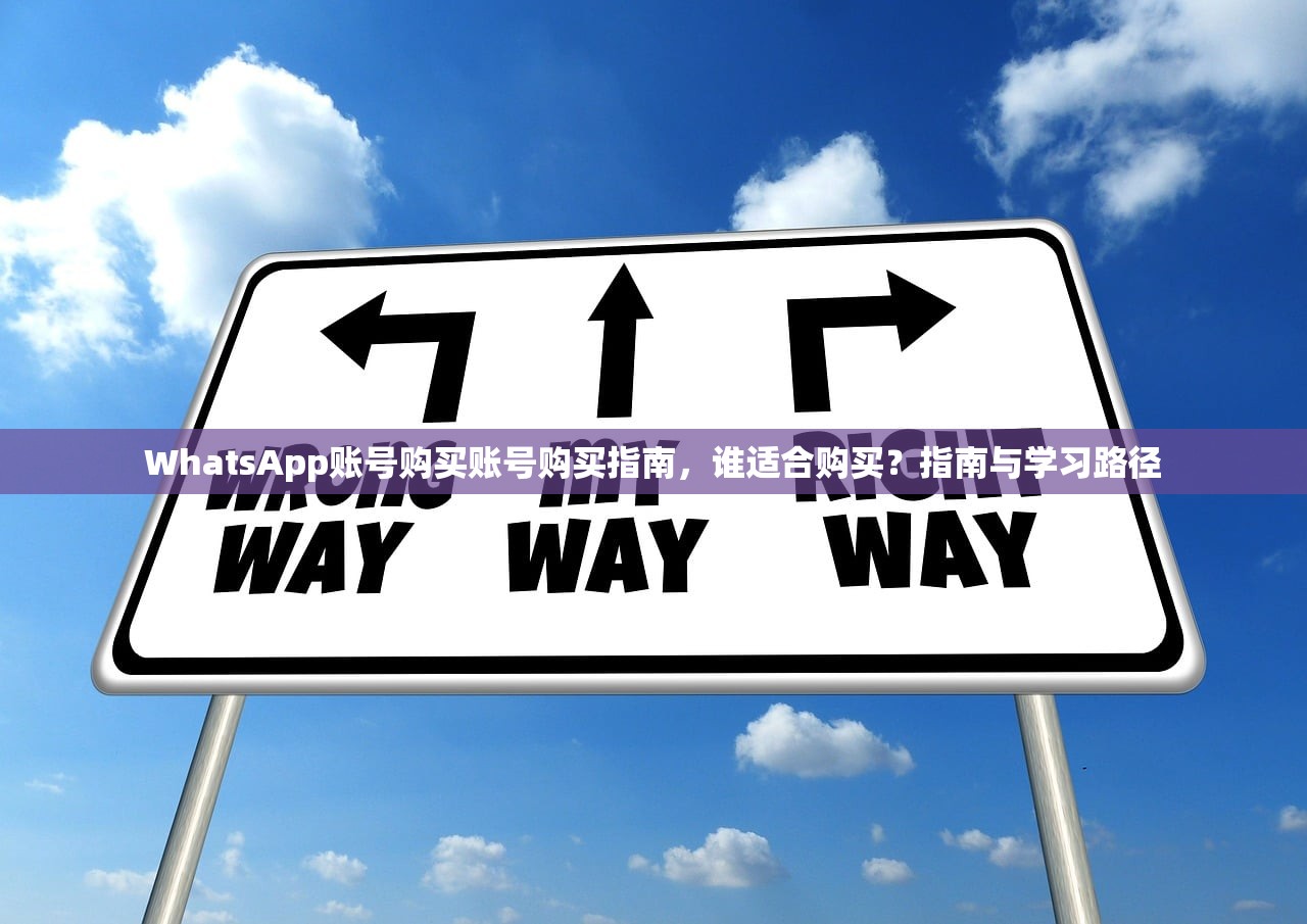 WhatsApp账号购买账号购买指南，谁适合购买？指南与学习路径