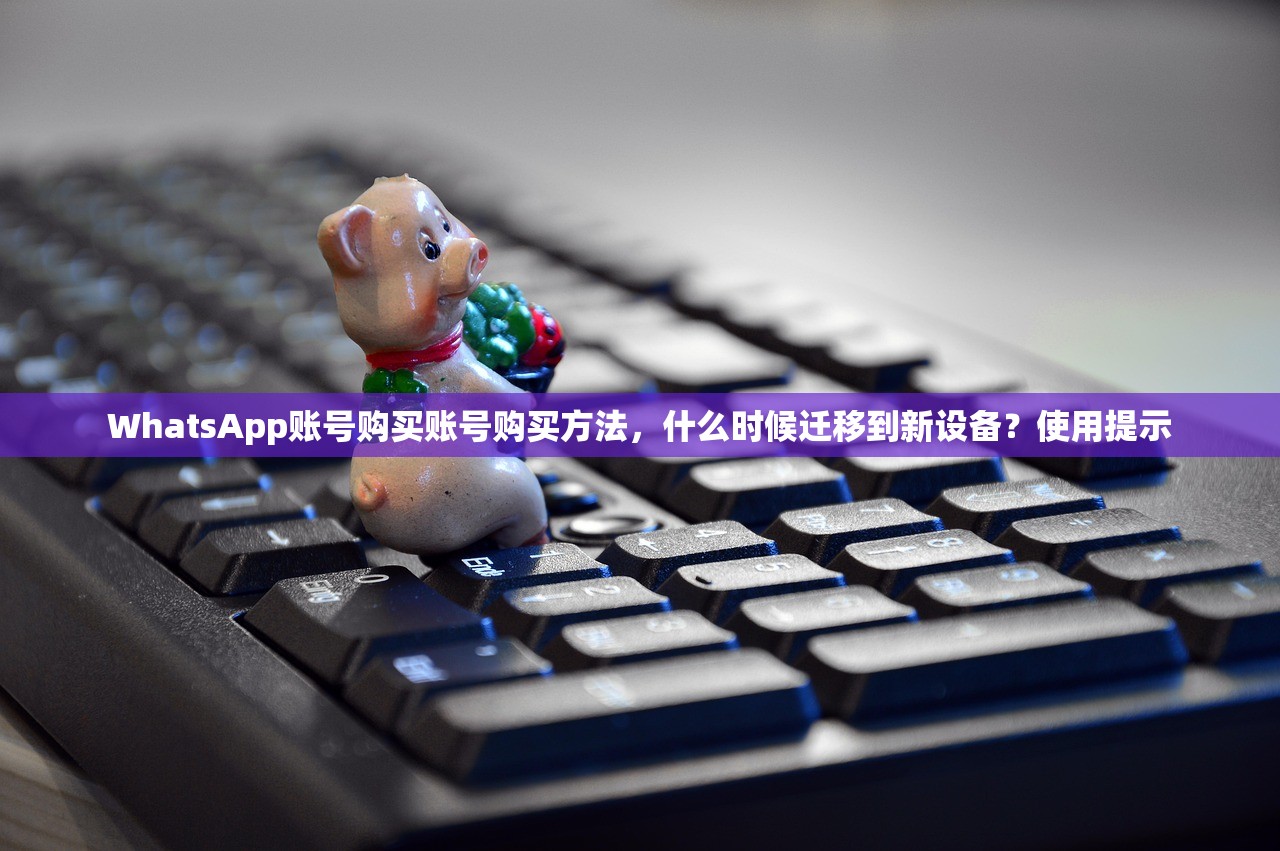 WhatsApp账号购买账号购买方法，什么时候迁移到新设备？使用提示