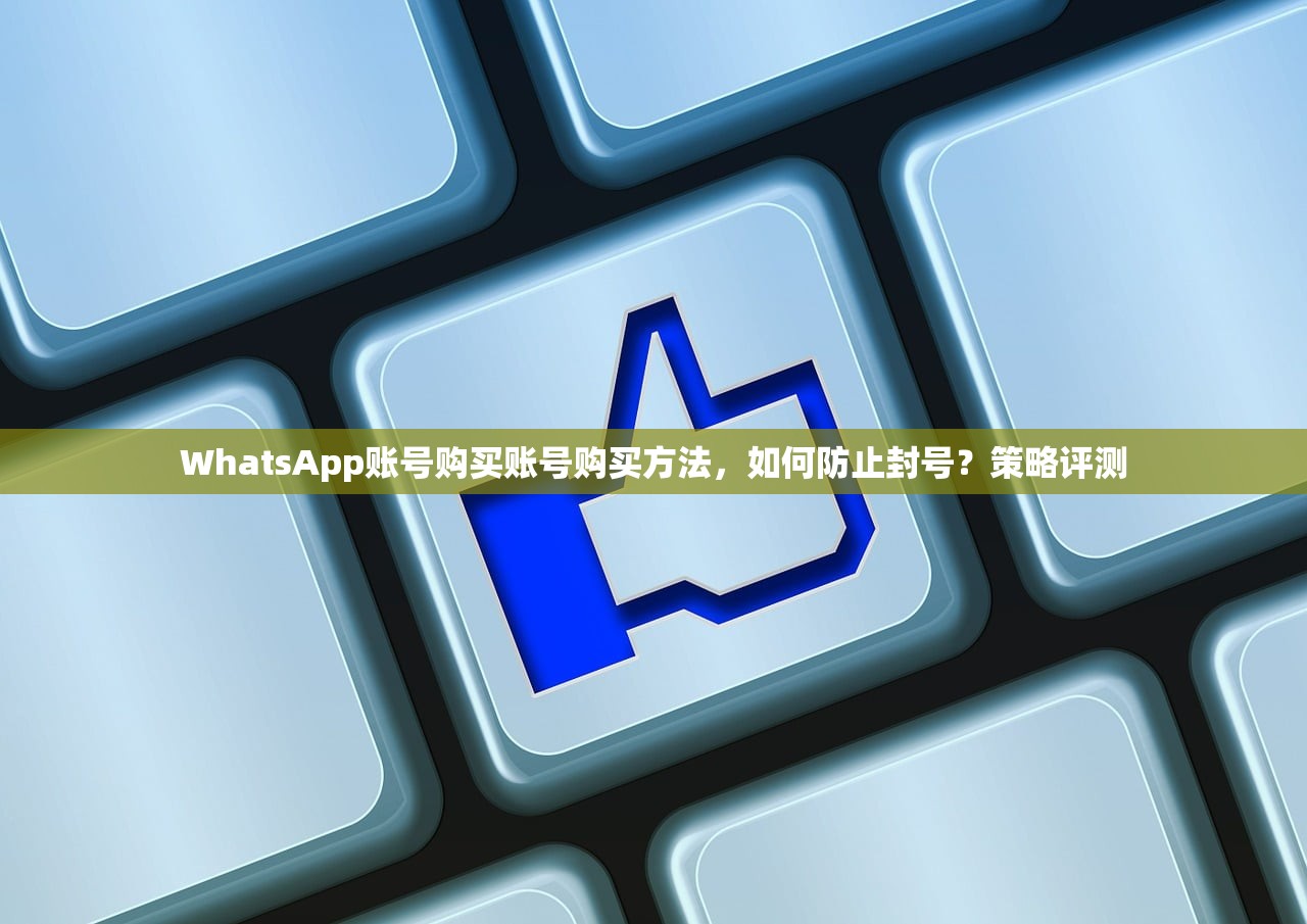 WhatsApp账号购买账号购买方法,如何防止封号?策略评测