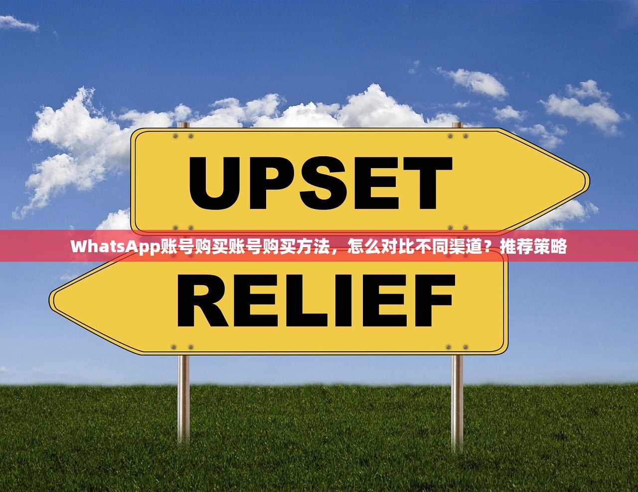 WhatsApp账号购买账号购买方法,怎么对比不同渠道?推荐策略