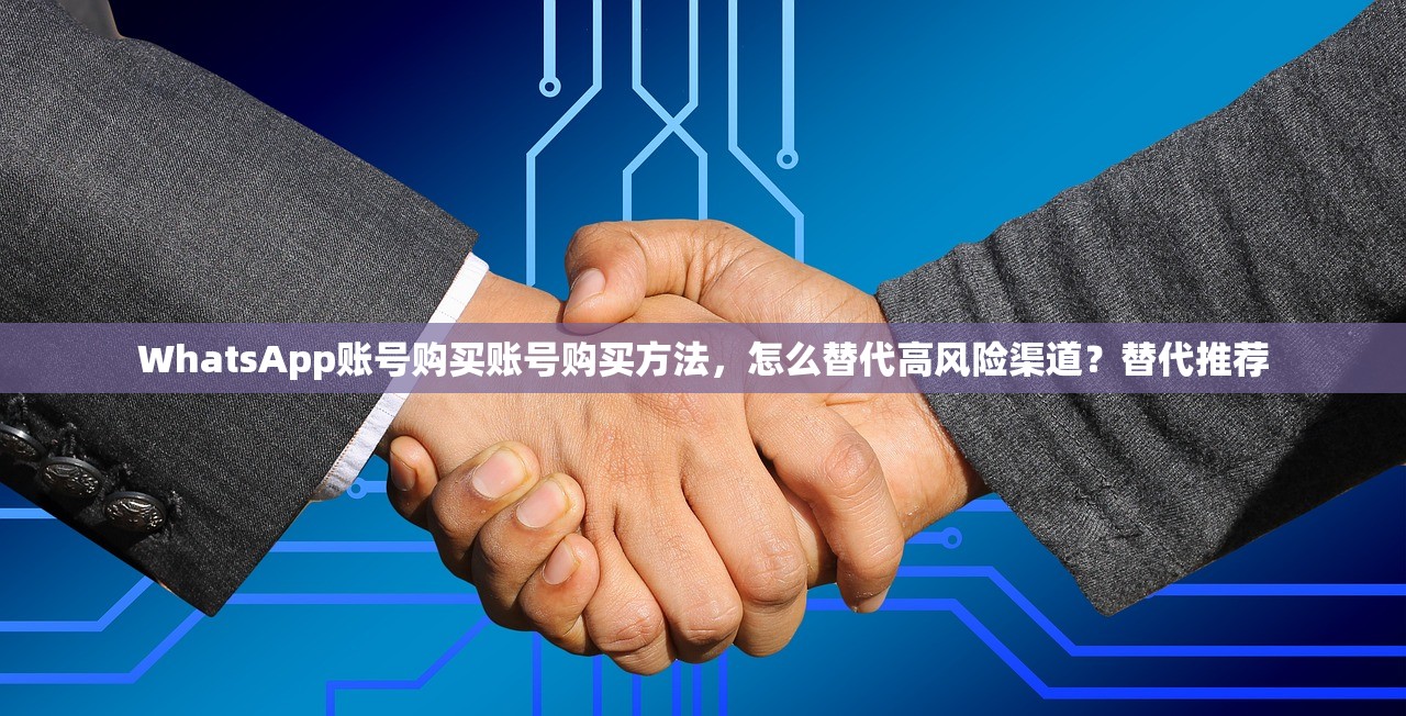 WhatsApp账号购买账号购买方法,怎么替代高风险渠道?替代推荐