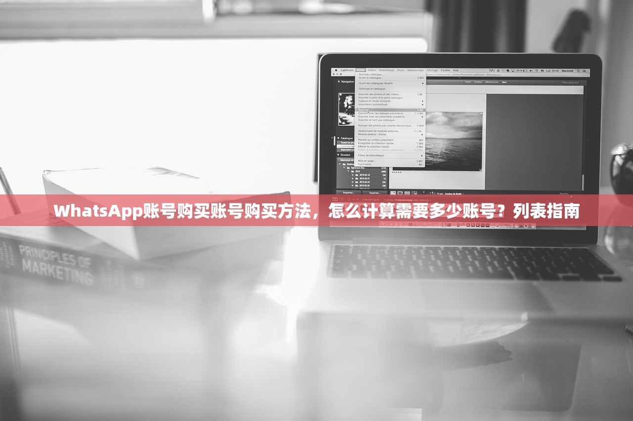 WhatsApp账号购买账号购买方法,怎么计算需要多少账号?列表指南