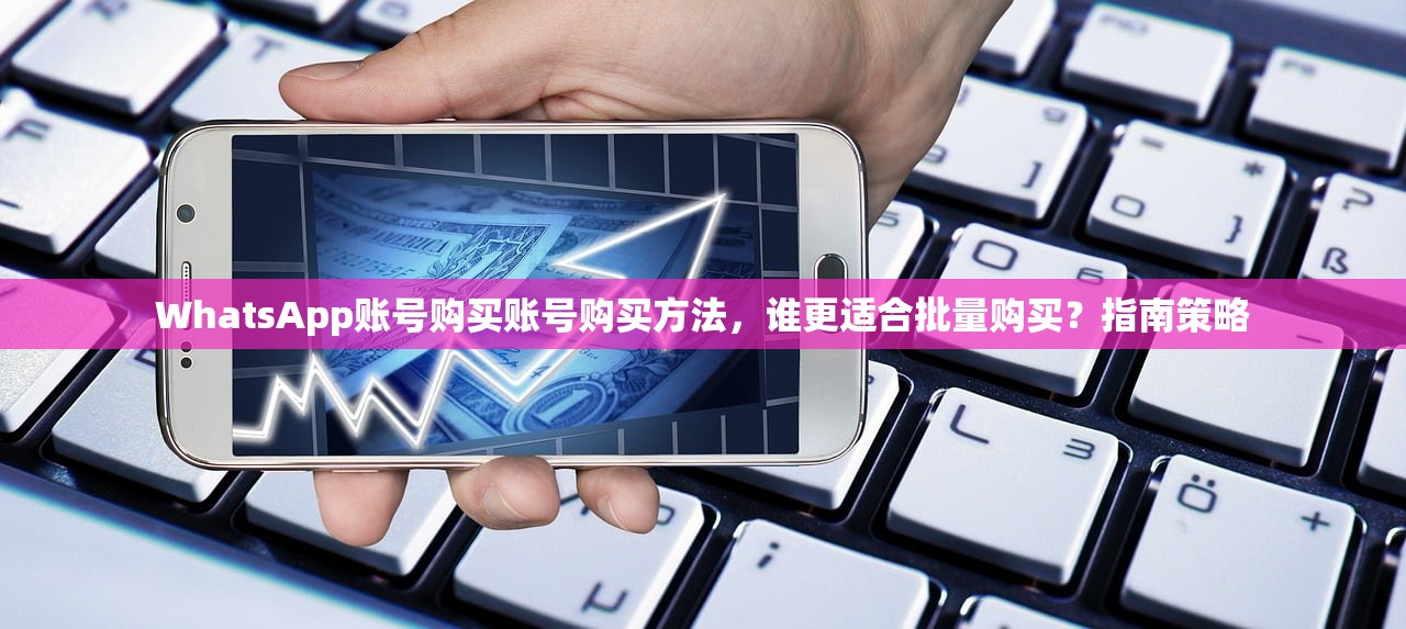 WhatsApp账号购买账号购买方法，谁更适合批量购买？指南策略