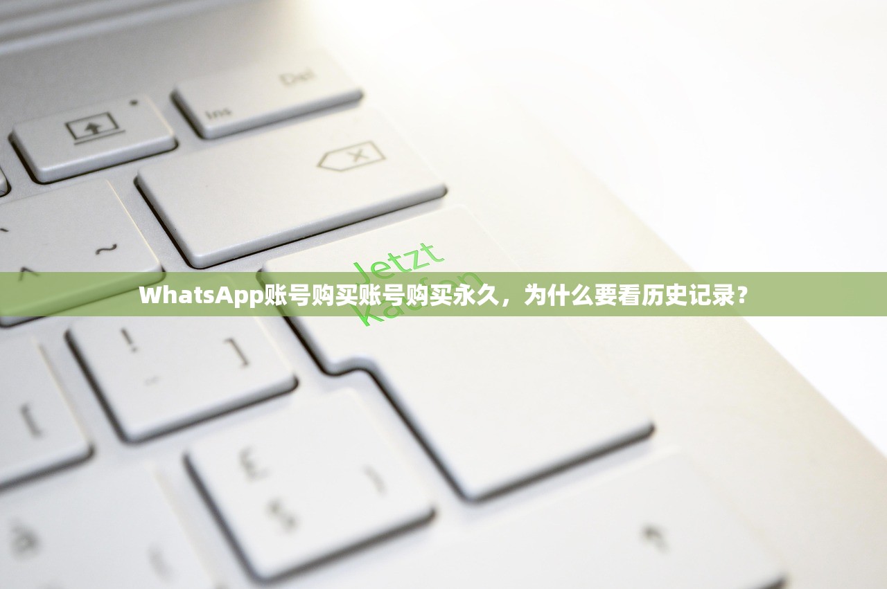 WhatsApp账号购买账号购买永久,为什么要看历史记录?