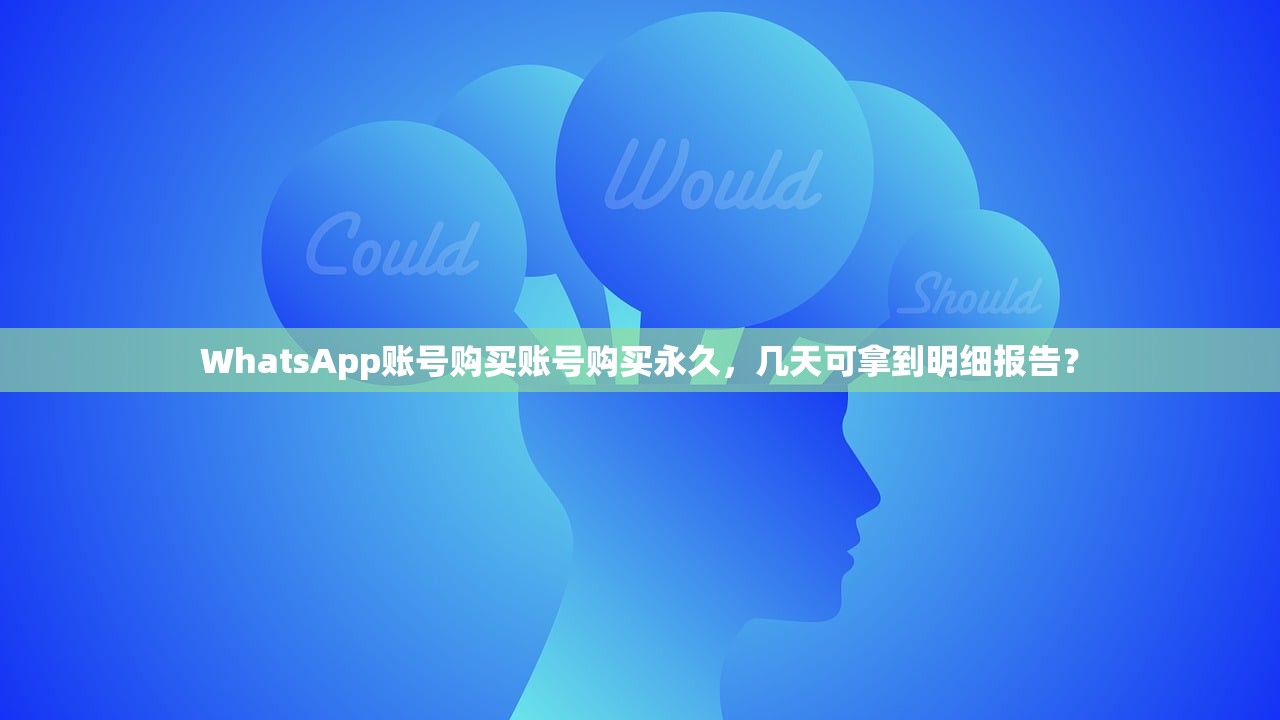 WhatsApp账号购买账号购买永久，几天可拿到明细报告？