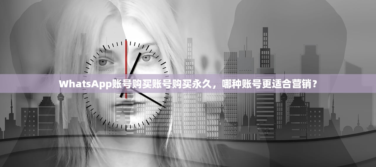 WhatsApp账号购买账号购买永久,哪种账号更适合营销?