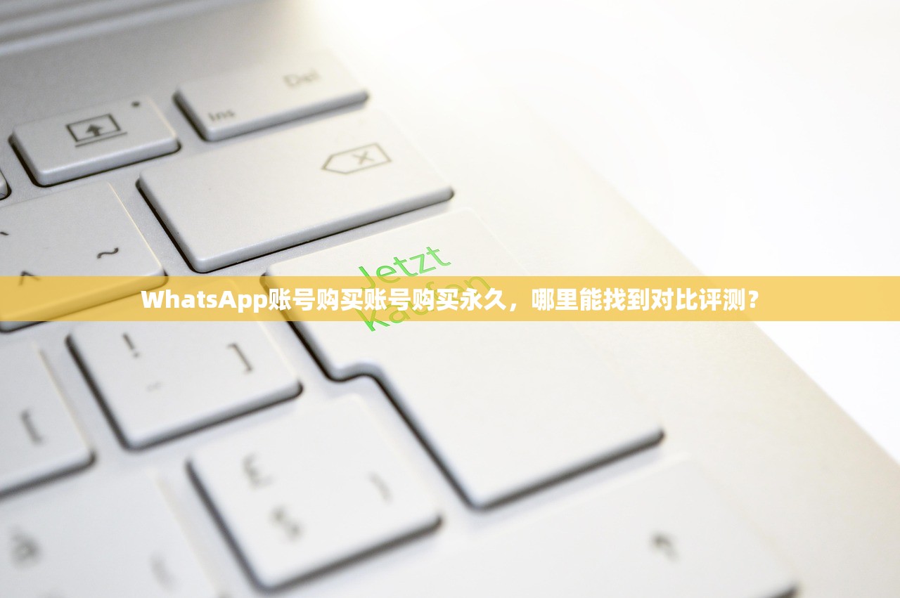 WhatsApp账号购买账号购买永久，哪里能找到对比评测？
