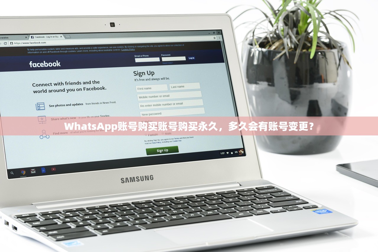 WhatsApp账号购买账号购买永久,多久会有账号变更?