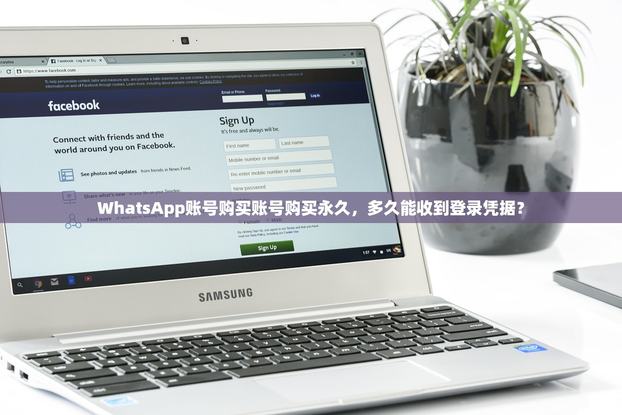 WhatsApp账号购买账号购买永久,多久能收到登录凭据?