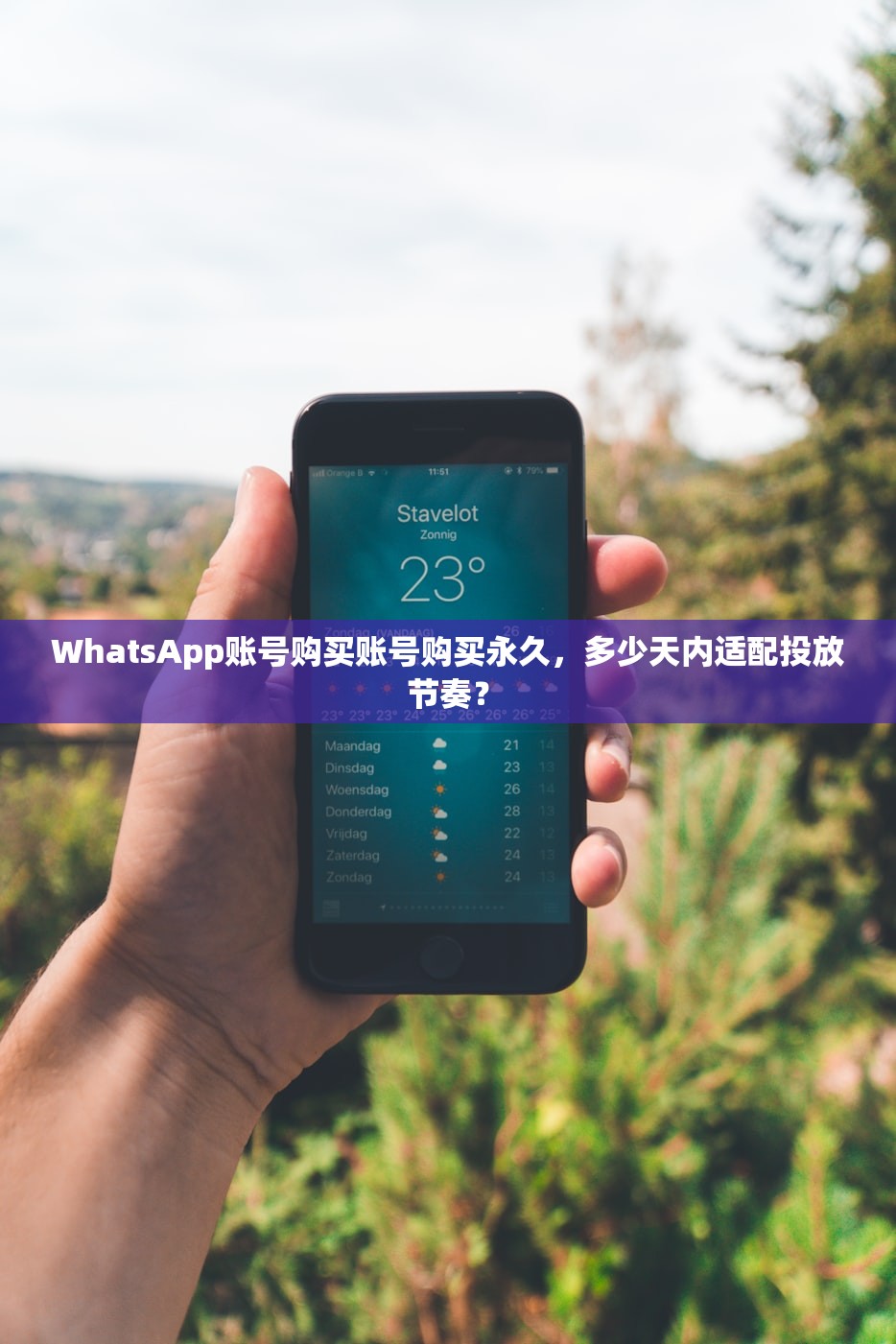 WhatsApp账号购买账号购买永久,多少天内适配投放节奏?