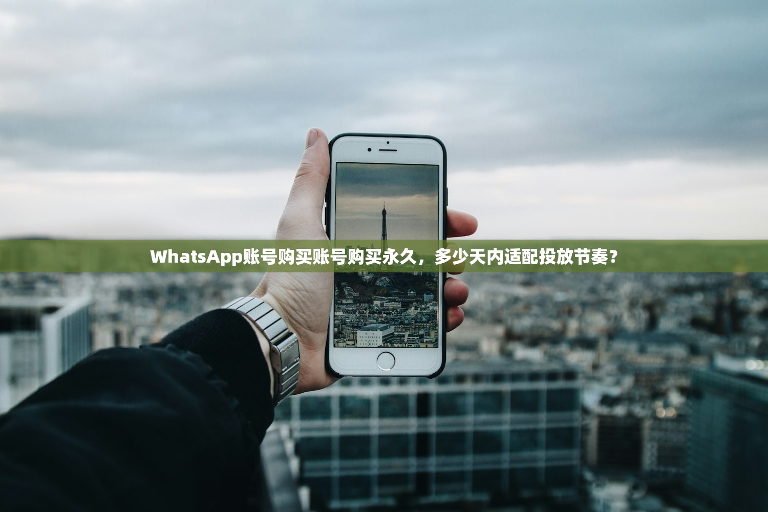 WhatsApp账号购买账号购买永久,多少天内适配投放节奏?