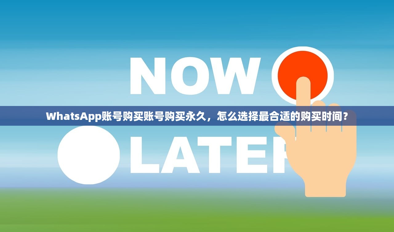 WhatsApp账号购买账号购买永久，怎么选择最合适的购买时间？