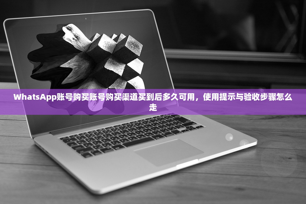 WhatsApp账号购买账号购买渠道买到后多久可用,使用提示与验收步骤怎么走