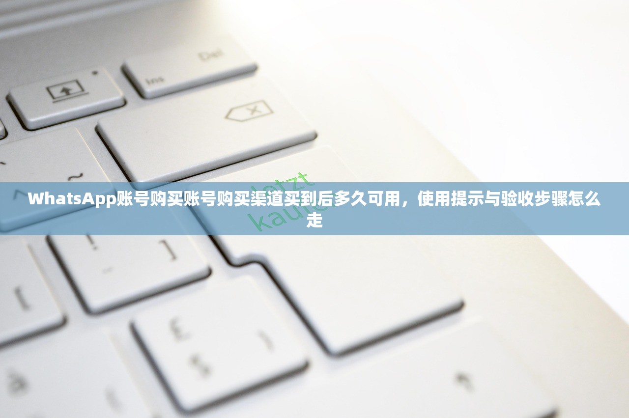 WhatsApp账号购买账号购买渠道买到后多久可用,使用提示与验收步骤怎么走
