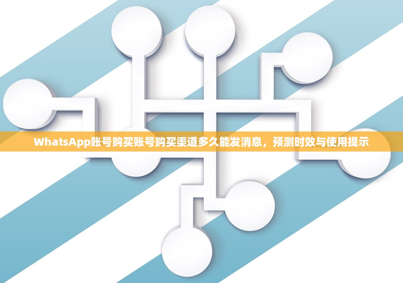 WhatsApp账号购买账号购买渠道多久能发消息，预测时效与使用提示