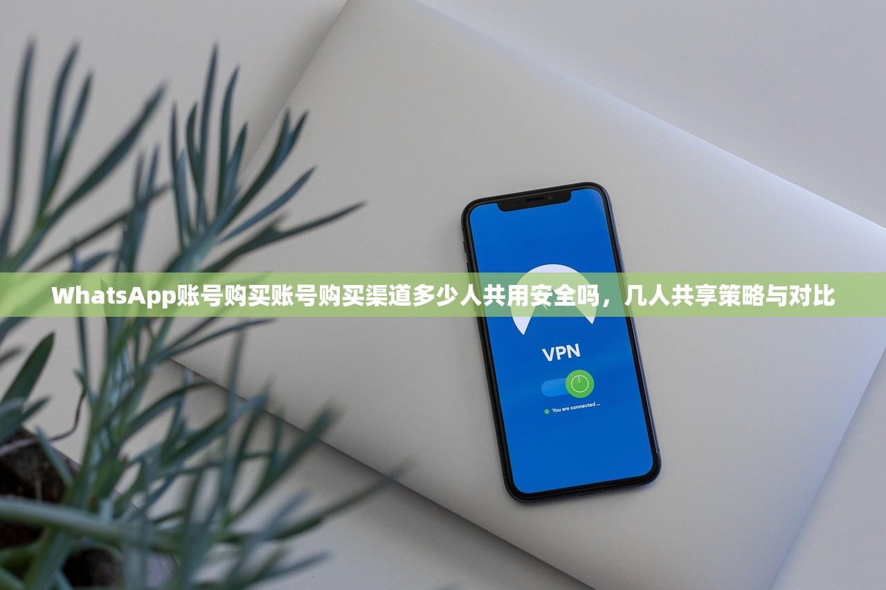 WhatsApp账号购买账号购买渠道多少人共用安全吗，几人共享策略与对比