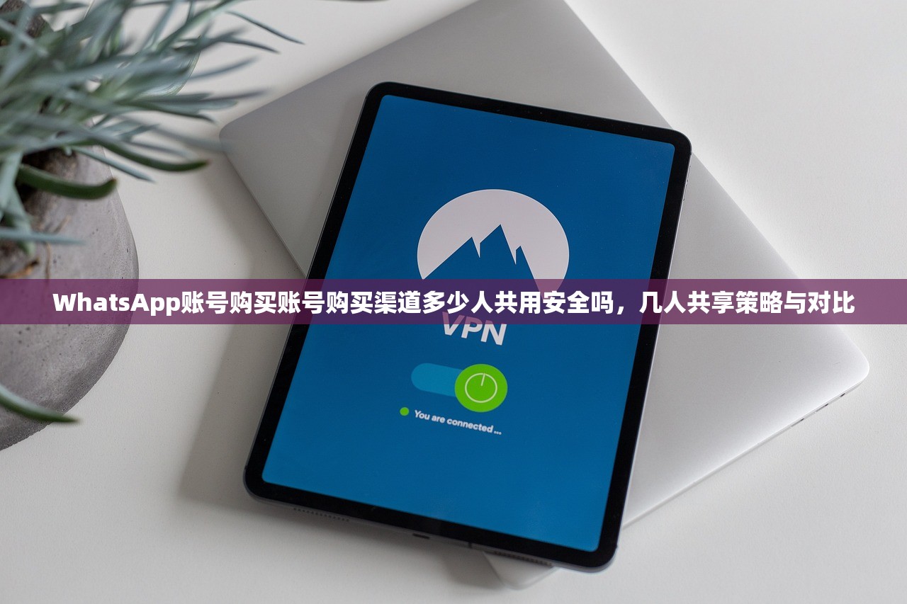 WhatsApp账号购买账号购买渠道多少人共用安全吗,几人共享策略与对比