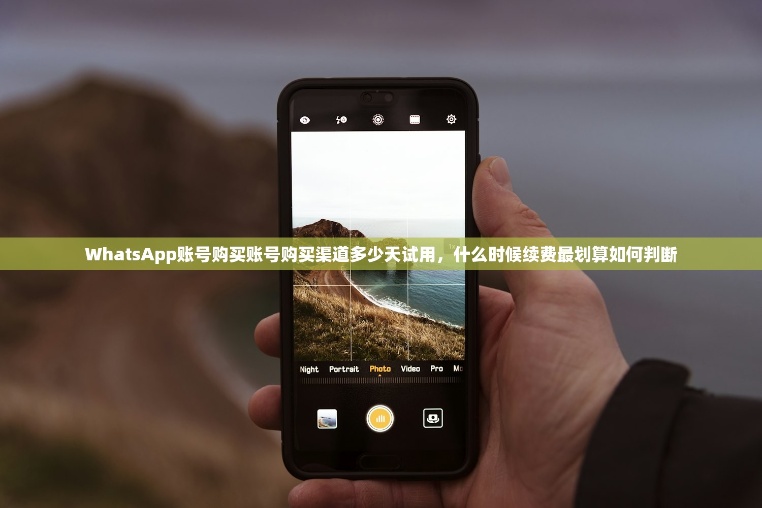 WhatsApp账号购买账号购买渠道多少天试用，什么时候续费最划算如何判断