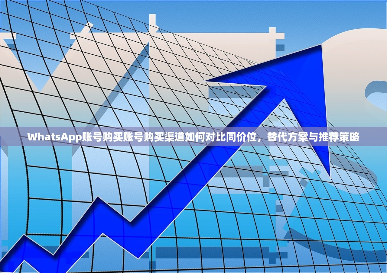 WhatsApp账号购买账号购买渠道如何对比同价位，替代方案与推荐策略
