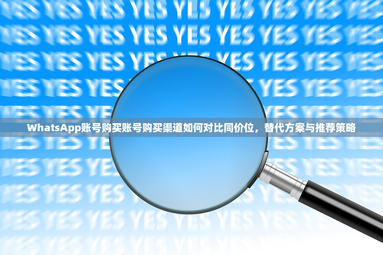 WhatsApp账号购买账号购买渠道如何对比同价位,替代方案与推荐策略