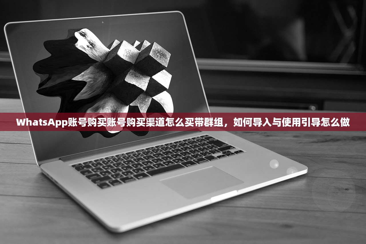 WhatsApp账号购买账号购买渠道怎么买带群组，如何导入与使用引导怎么做