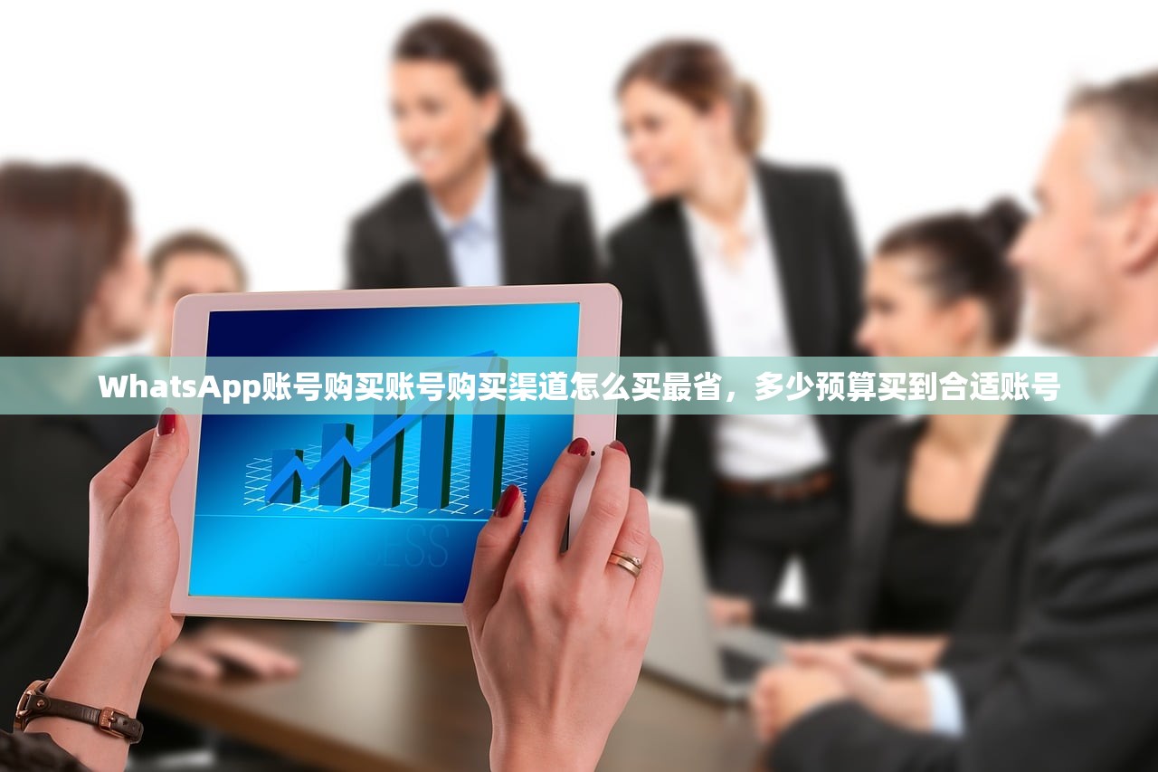 WhatsApp账号购买账号购买渠道怎么买最省,多少预算买到合适账号